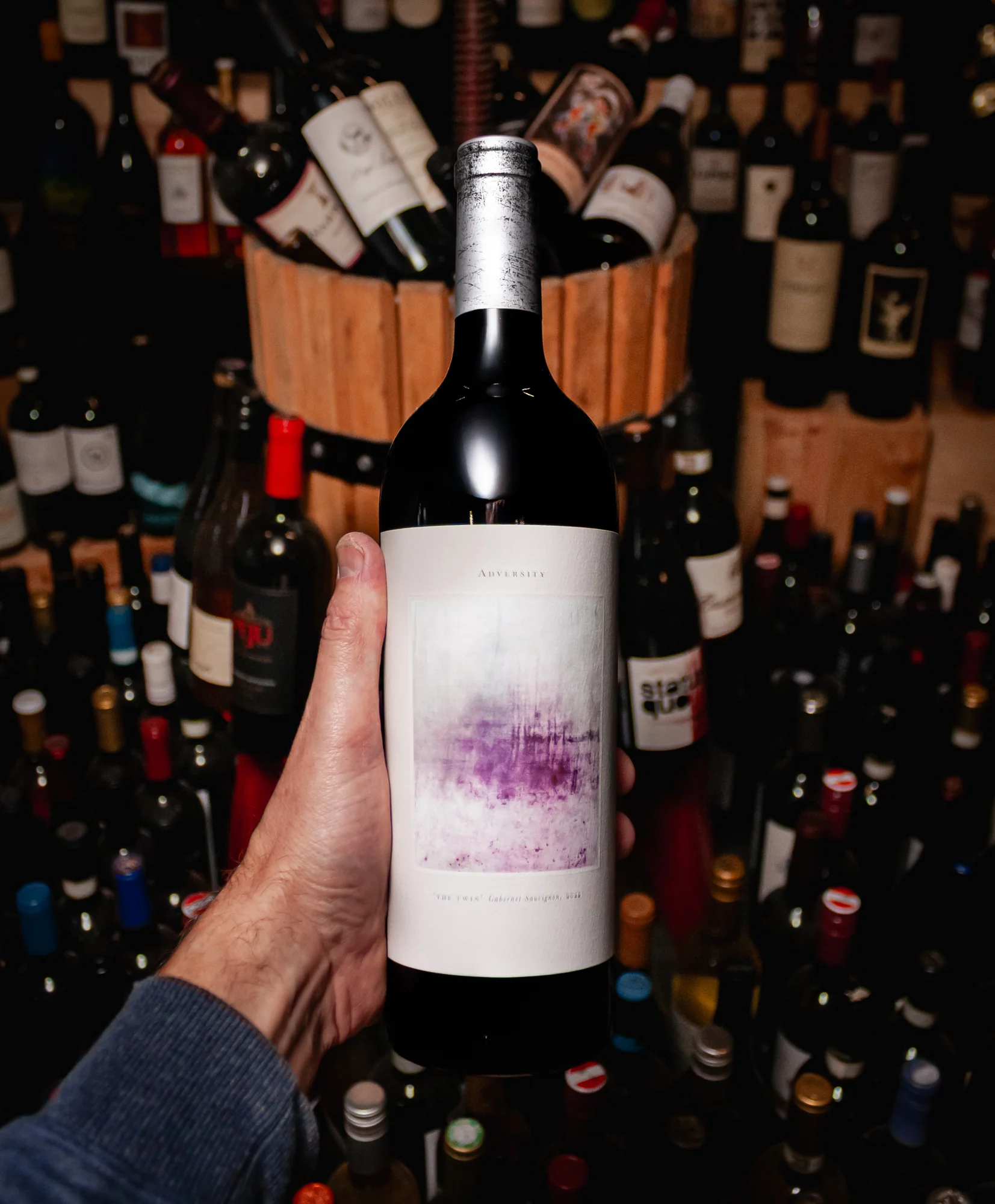 Adversity Cellars Cabernet Sauvignon The Twin Napa Valley 2022