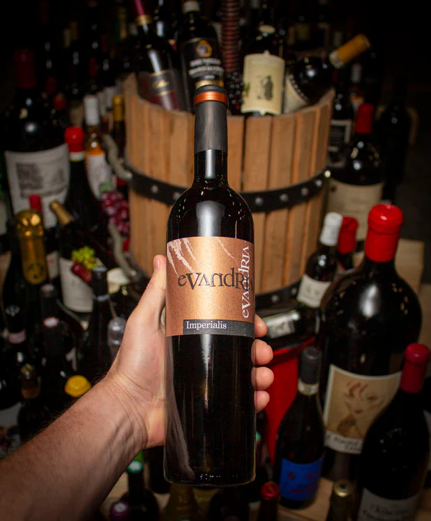 Bodegas Coloma Evandria Imperialis Edicion Limitada Vino de la Tierra Extremadura 2018 - Image 2