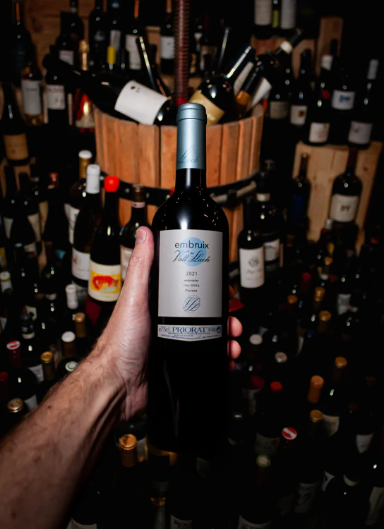 Celler Vall Llach Embruix Priorat 2021 - Image 3