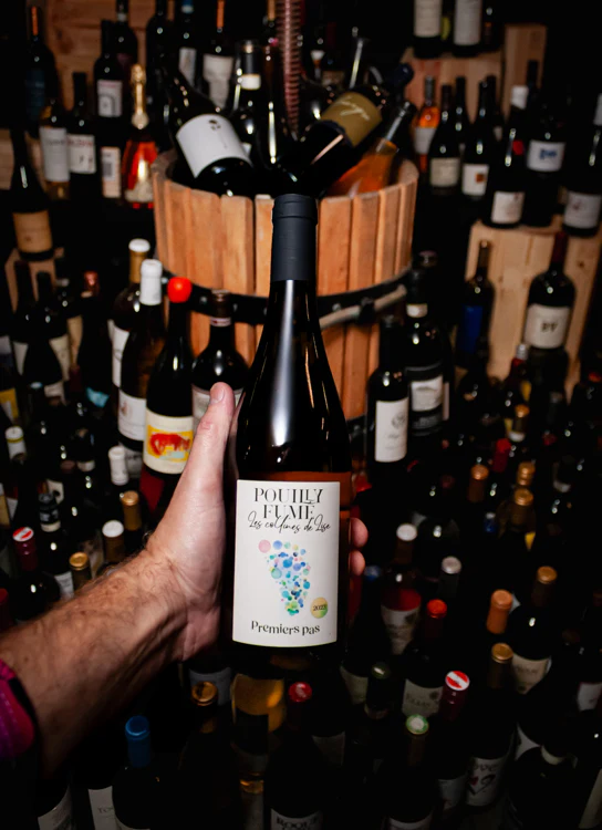 Chauveau Les Collines de Lise Premier Pas Pouilly-Fumé 2023 - Image 3