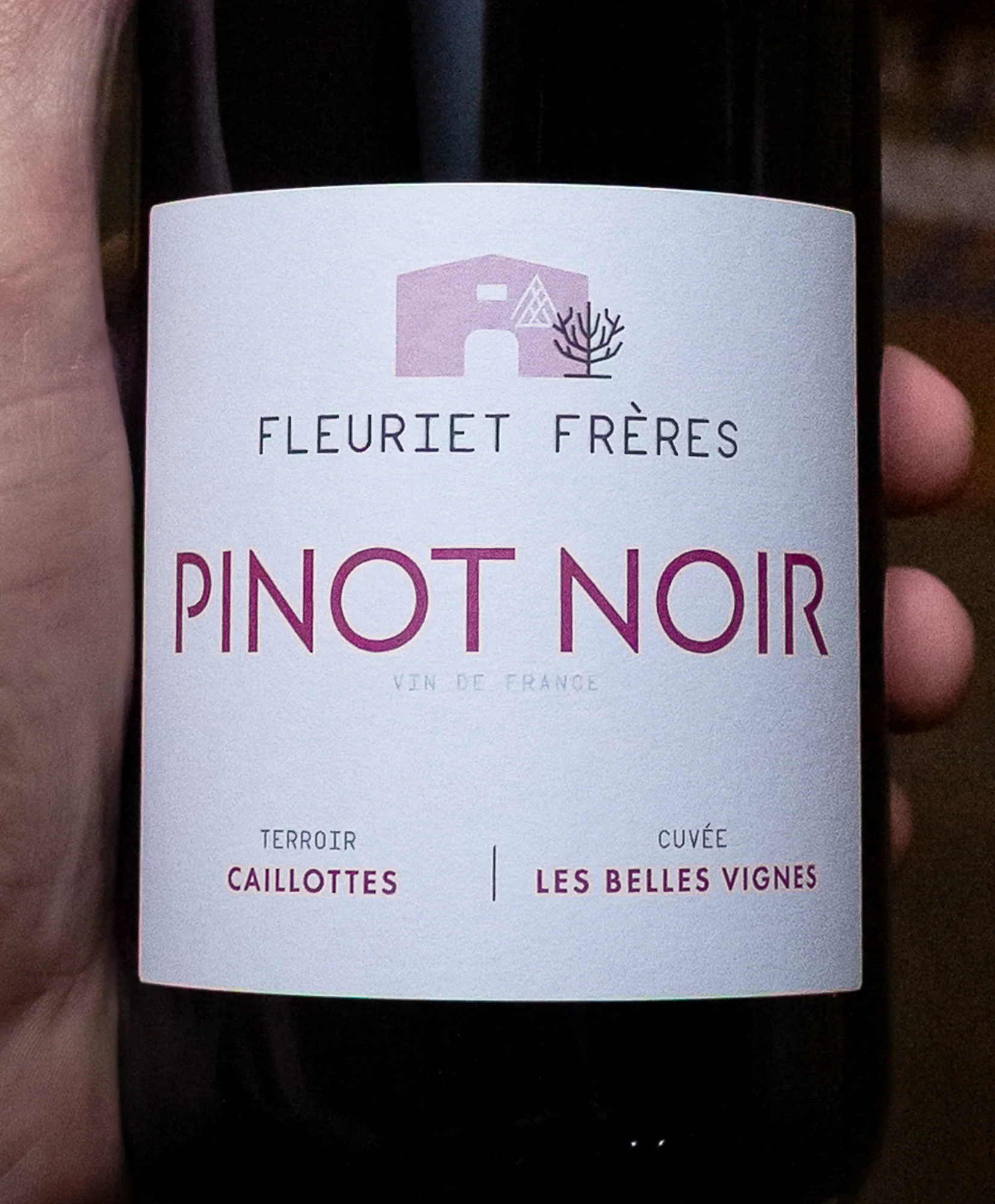 Domaine Bernard Fleuriet et Fils Pinot Noir France 2024 - Image 2