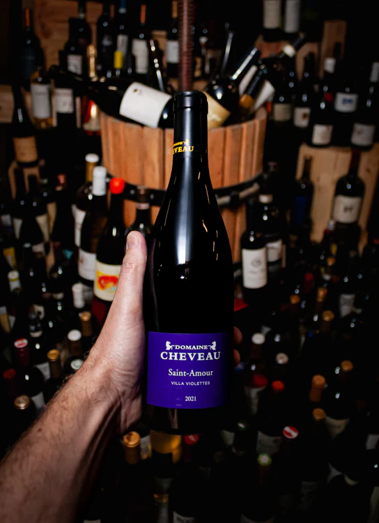 Domaine Cheveau Saint-Amour 1685 La Villa Violette 2021