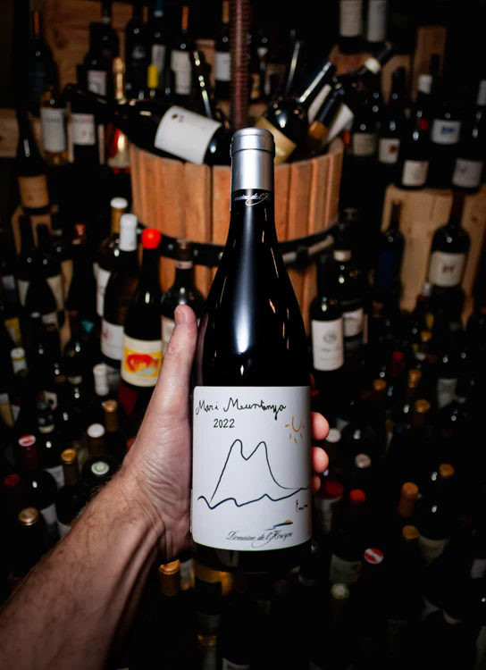 Domaine de l'Horizon Mar y Muntanya Côtes Catalanes Rouge 2022