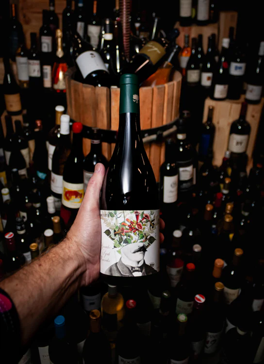 Domaine de Rombeau Le Botaniste Reserve Côtes du Roussillon 2018 - Image 3