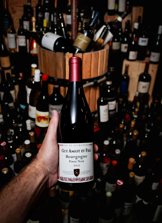 Domaine Guy Amiot Pinot Noir Cuvée Simone Bourgogne 2021 - Image 3