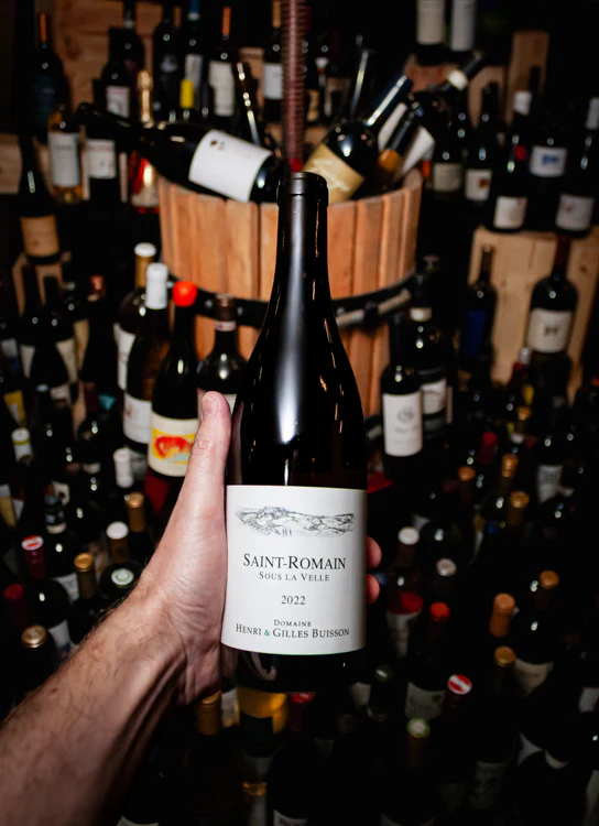 Domaine Henri & Gilles Buisson Saint-Romain Sous La Velle 2022