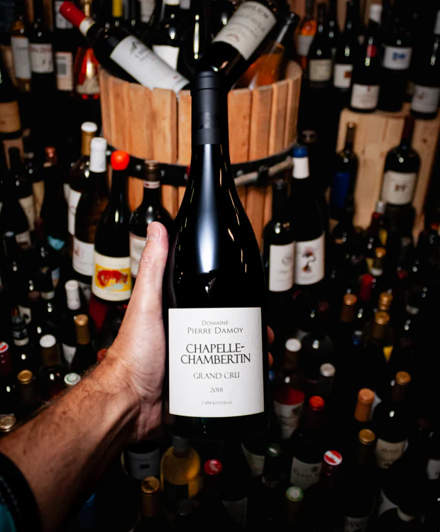 Domaine Pierre-Damoy Chapelle-Chambertin Grand Cru 2018 - Image 3