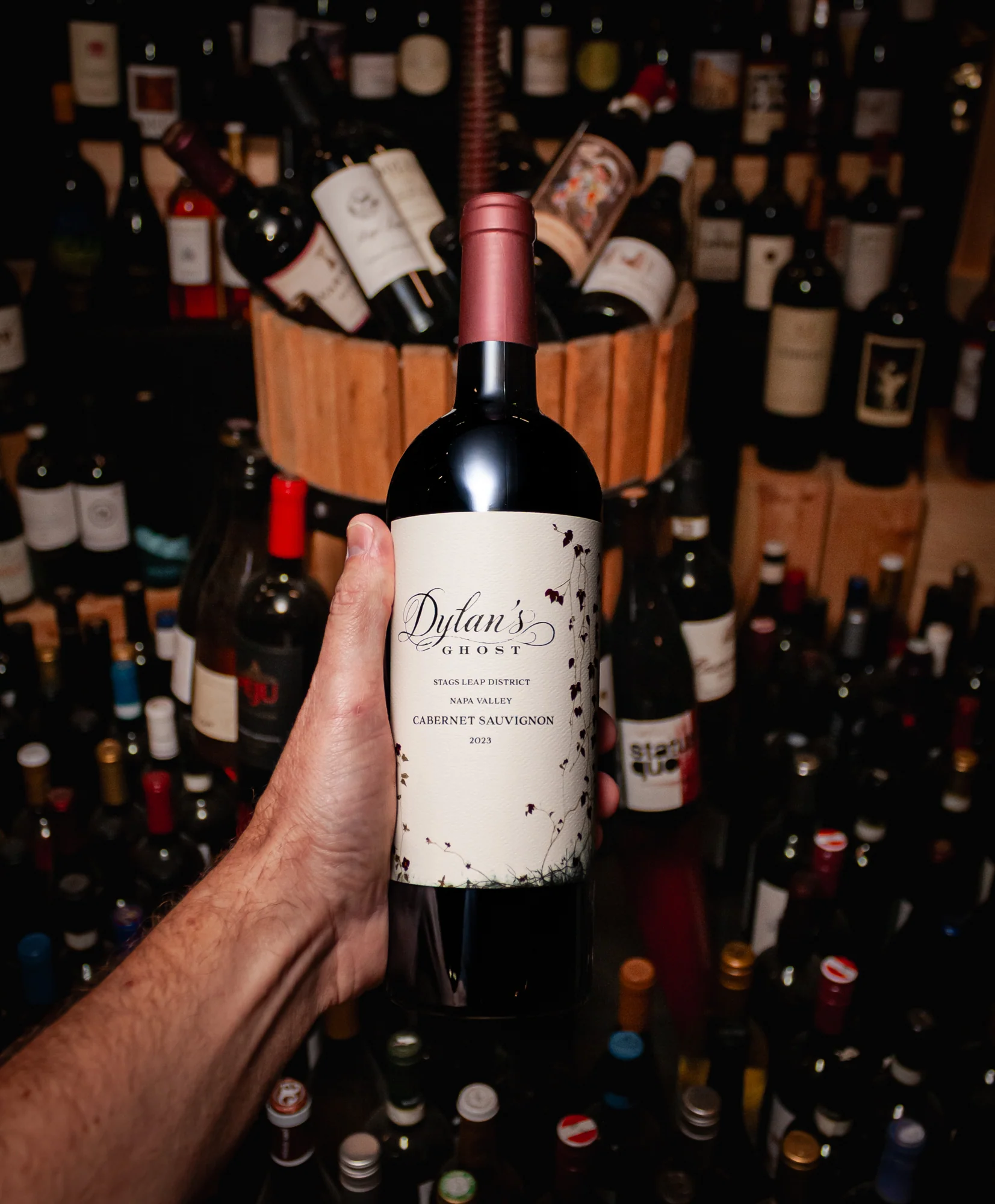 Dylan's Ghost Cabernet Sauvignon Stags Leap District Napa Valley 2023 - Image 3