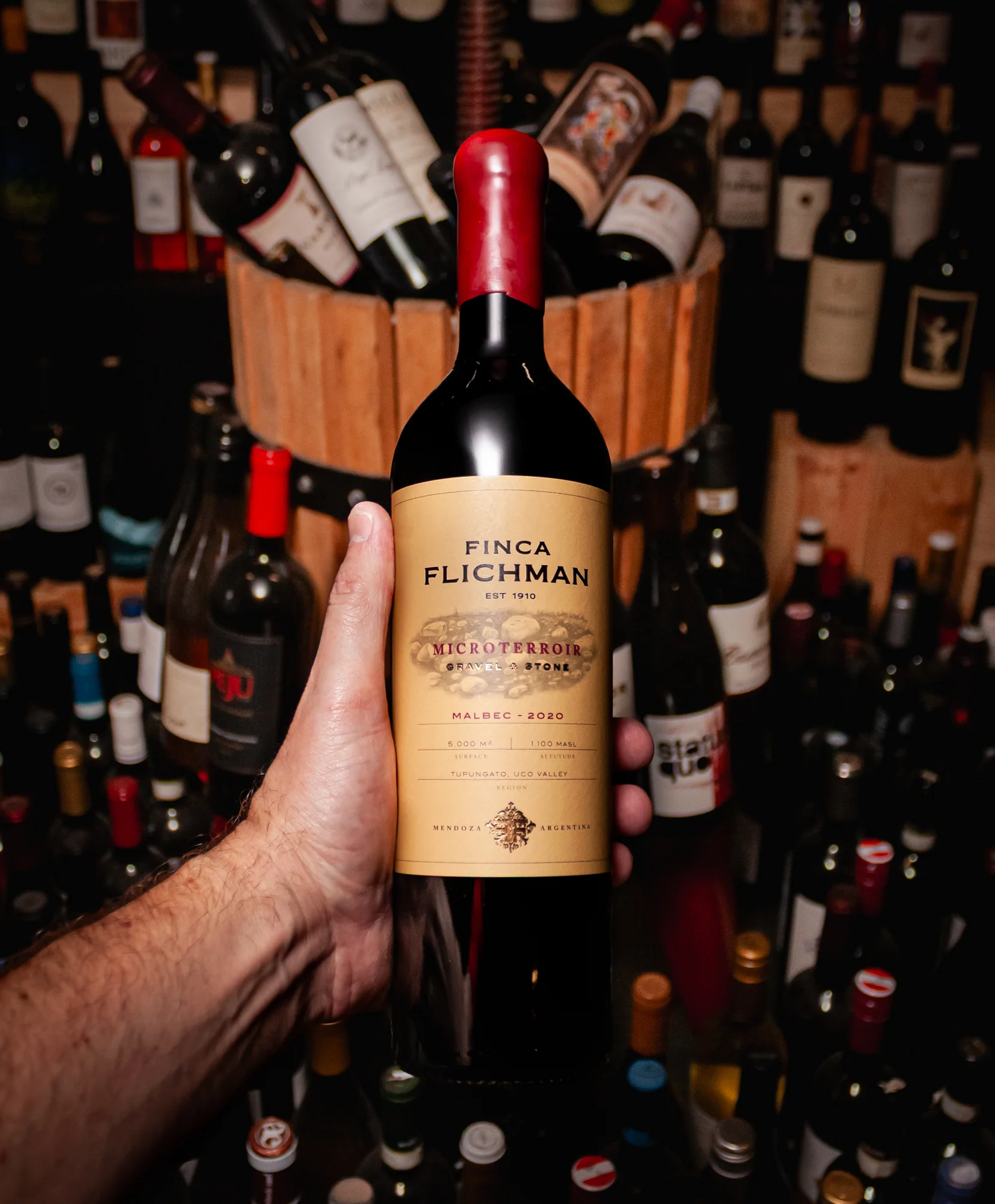 Finca Flichman Malbec Dedicado Microterrior Gravel & Stone Mendoza 2020 - Image 3