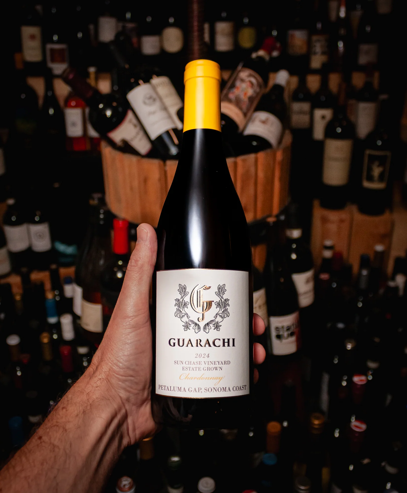 Guarachi Chardonnay Sun Chase Petaluma Gap 2024