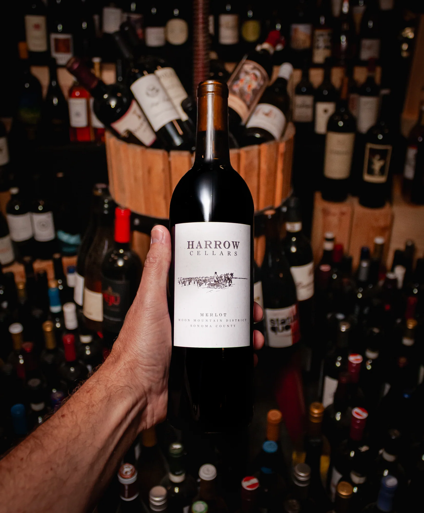 Harrow Cellars Merlot Ravenswood Vineyard Moon Mountain District 2020