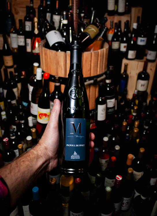 Les Vignerons Montagnac Domitienne M Picpoul de Pinet 2023 - Image 3