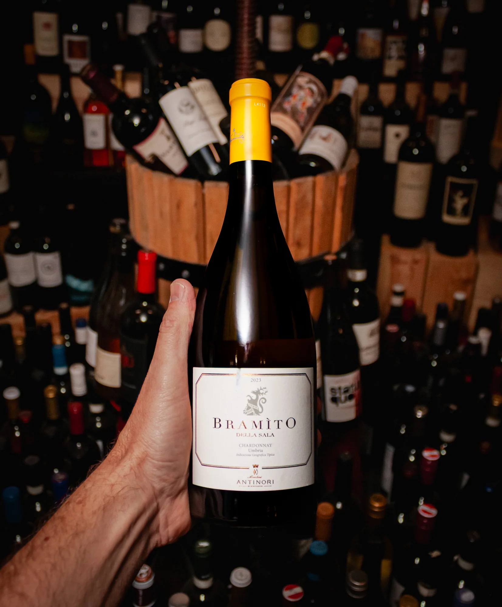 Marchesi Antinori Castello della Sala Chardonnay Bramito del Cervo Umbria 2023