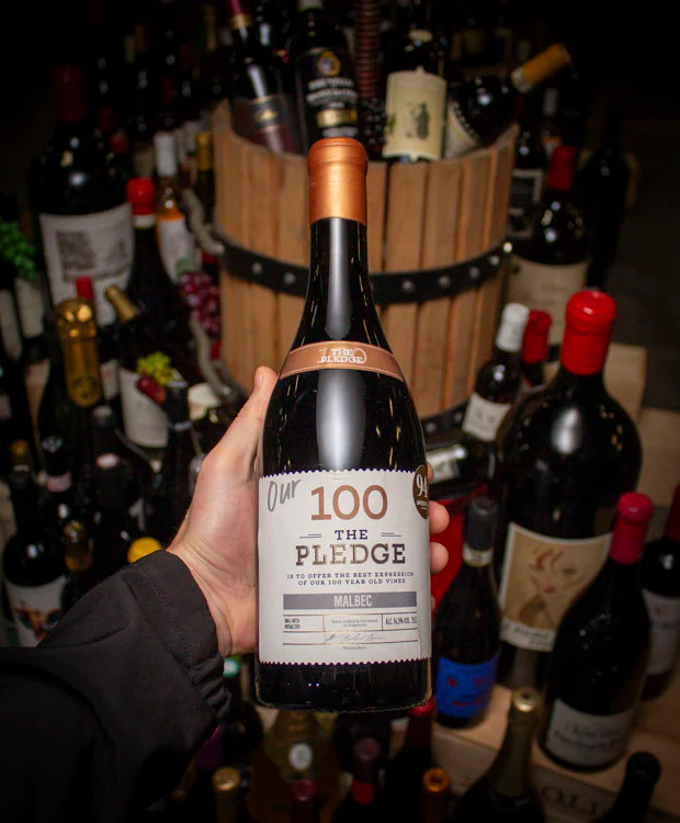 Mendoza Vineyards Malbec The Pledge 100 Mendoza 2019 - Image 3