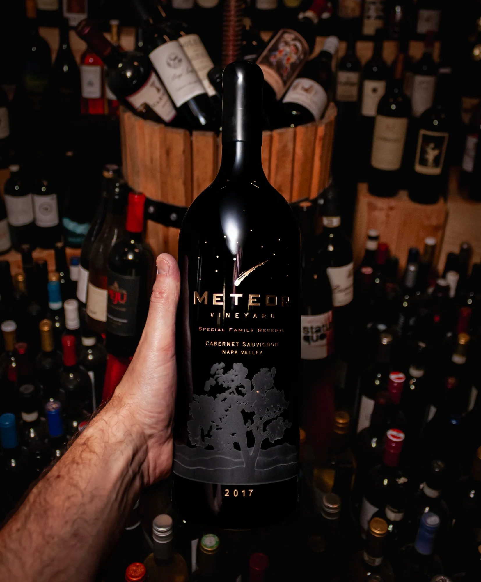 Meteor Vineyard Cabernet Sauvignon Special Family Reserve Napa Valley 2017 (Magnum 1.5L)
