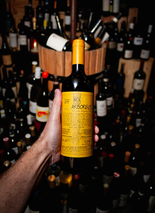 Paolo Bea Arboreus Trebbiano Spoletino Umbria Bianco 2015