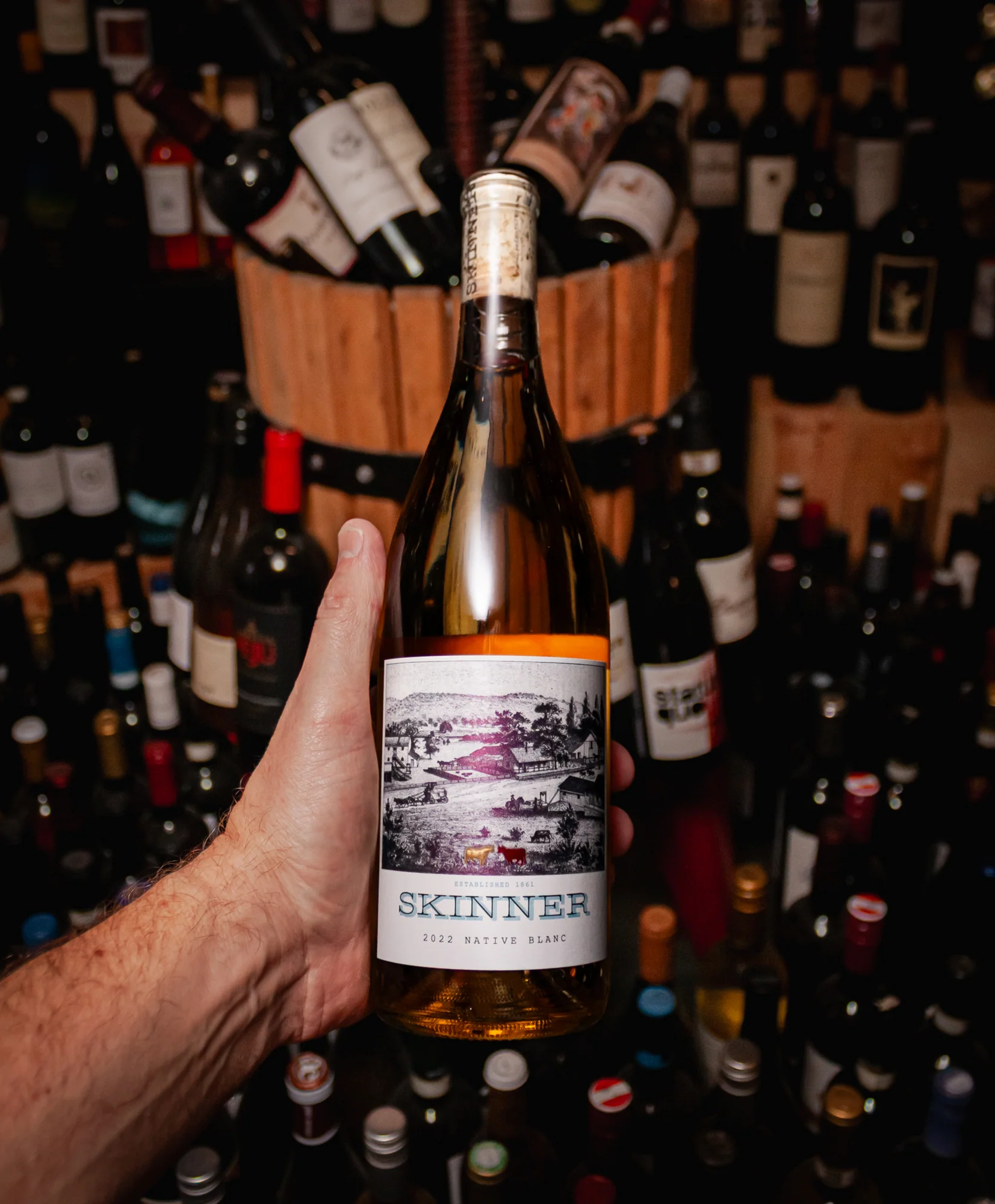 Skinner Vineyards Native Blanc California 2022