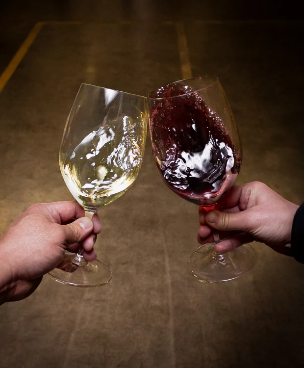 TEST 1 : Hoopes Vineyard Cabernet Sauvignon Oakville Napa Valley 2019 - Image 2
