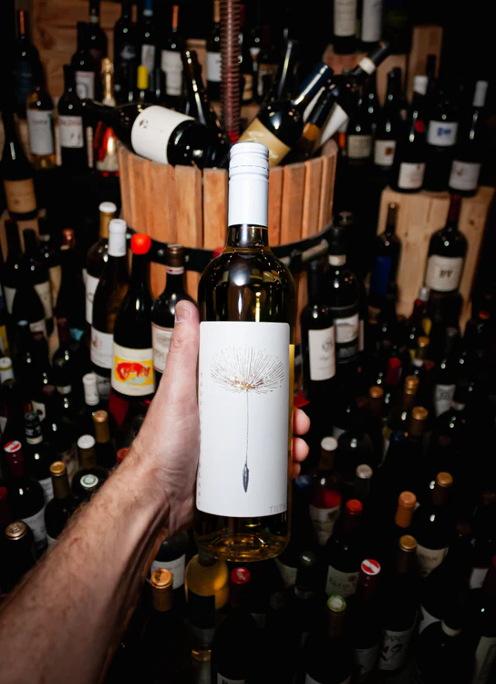 Tilth Sauvignon Blanc Sonoma Coast 2023 - Image 3