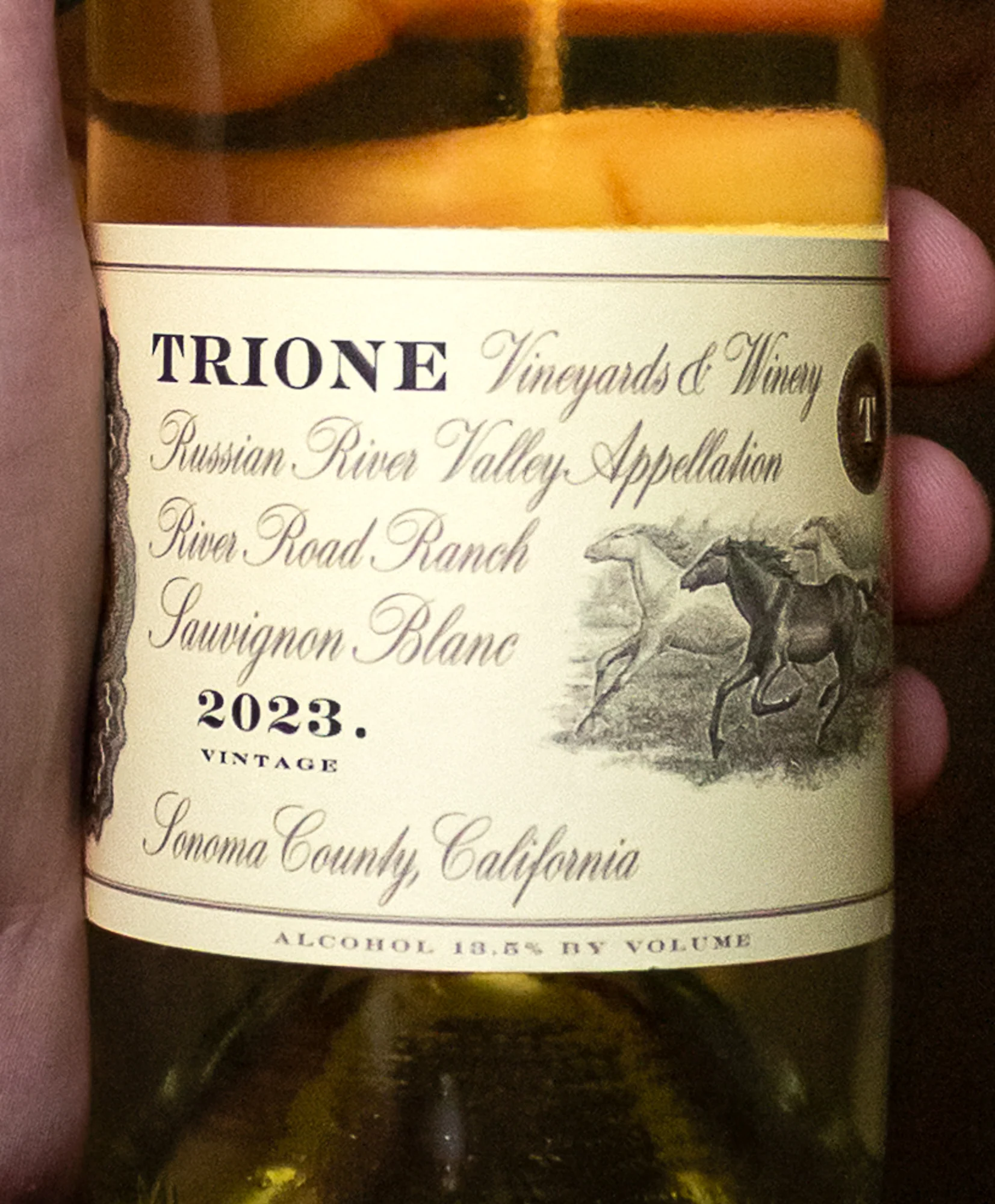 Trione Vineyards Sauvignon Blanc River Road Ranch Russian River Valley 2023 - Image 2