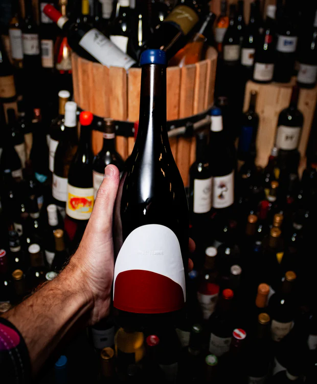 Vivanterre Rouge Gamay MVB Beaujolais 2021 - Image 3