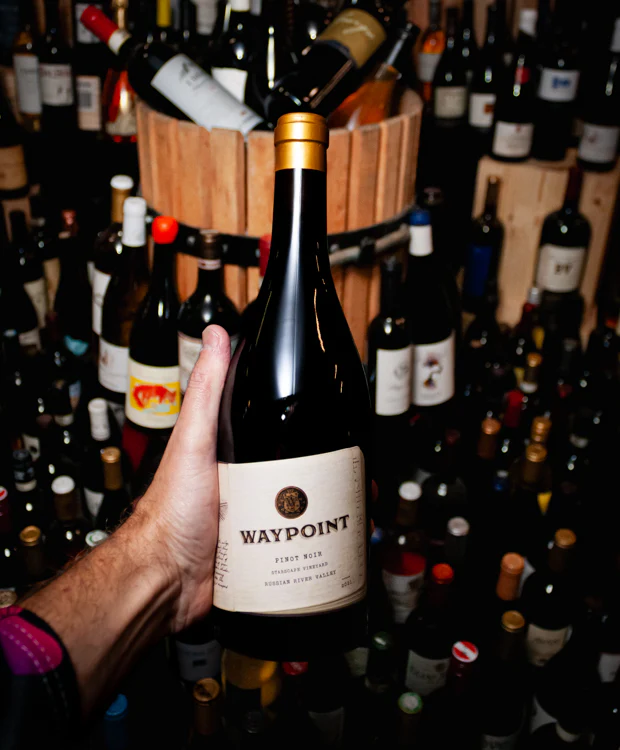 Waypoint Pinot Noir Starscape Vineyard Russian River Valley 2021 - Image 3